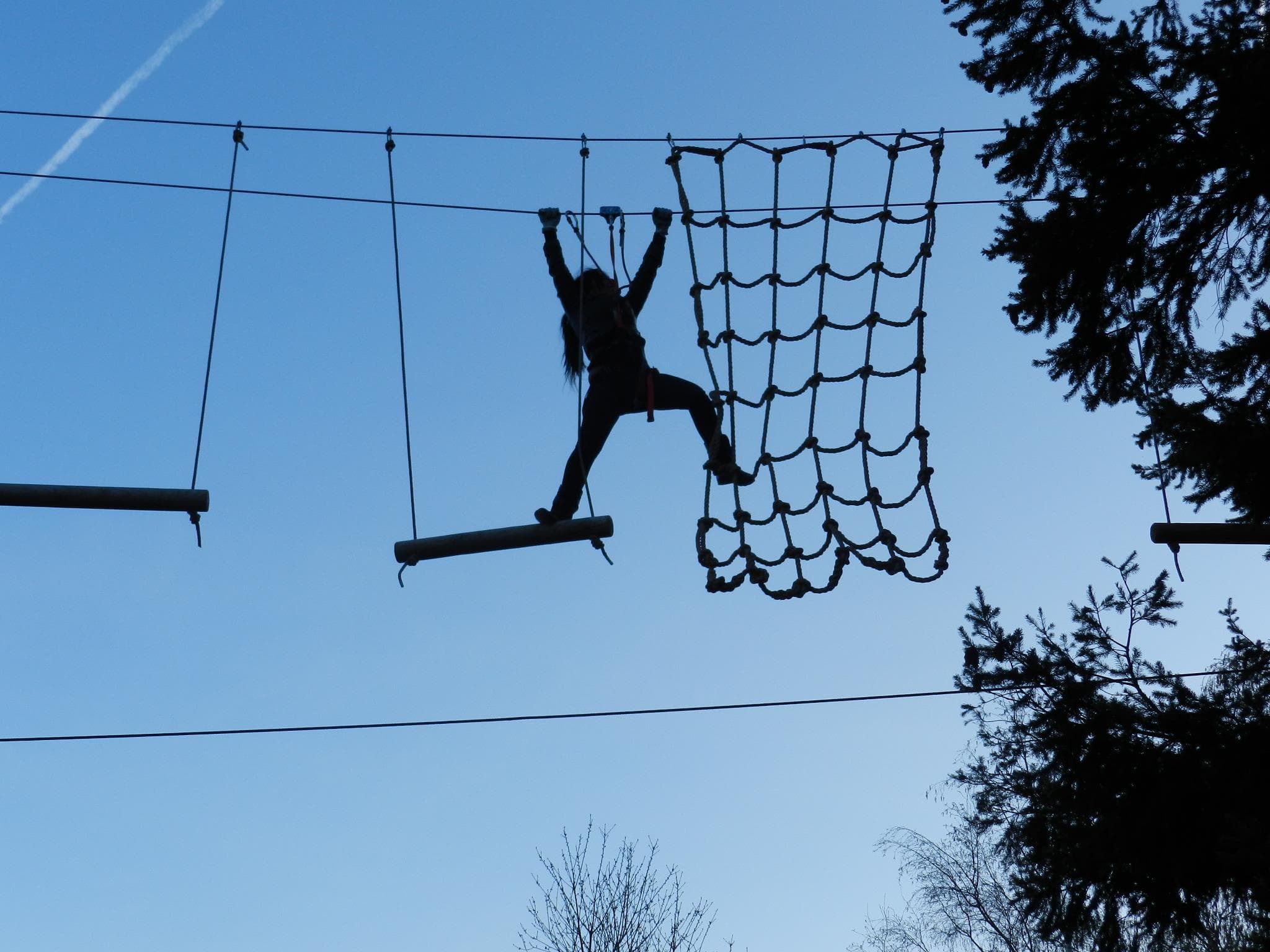 Accrobranche — Plateau d'Yzeron