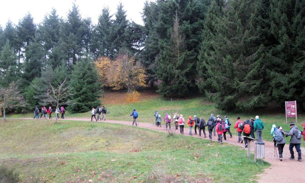 Randonnée pédestre